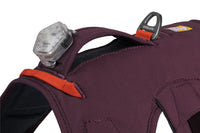 Ruffwear Web Master Harness - Final Sale*
